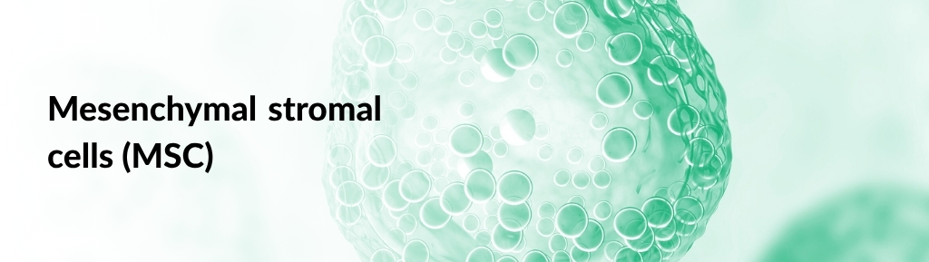 MSC cells 