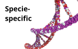 Species-specific 