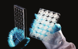 24-Well-Platten aus Polystyrol für die 3D-Kultur – Alvetex Scaffold