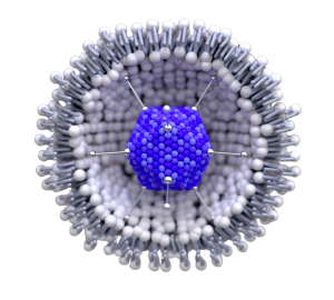 Studie zur kontrollierten Freisetzung von Retinol und Hyaluronsäure aus multilamellaren Vesikeln