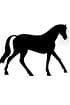 Pferd