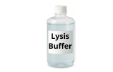Cell Lysis Buffers