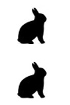 IHC-Detektionskits - Doppelfärbung für menschliches Gewebe Anti-Rabbit-IgG