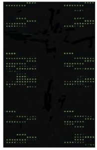 Quantibody Antibody Array