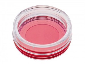 Neu ! Glasboden Schale 35mm zu konkurrenzfähigem Preis