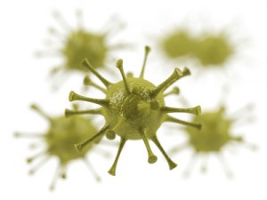 Vorgefertigtes Human ORF Adenovirus in voller Länge