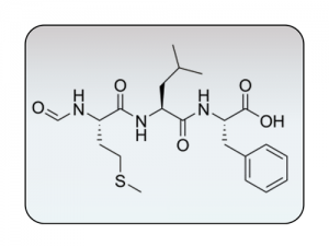Kundenspezifische Peptidsynthese