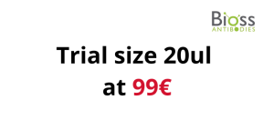 Rekombinante monoklonale Antikörper von Bioss, 20 µl Probiergröße – nur 99 €
