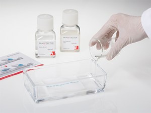 ReadyTector: die All-in-One-Lösung für Western Blotting