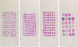 Paraffin-Gewebe-Array