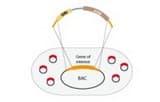 Recombineering kits