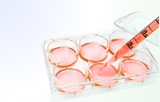 Cell-based assay kits
