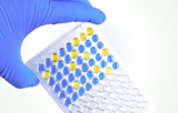 Immunoassays