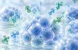 Animal-free stem cell factors