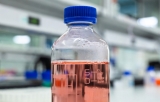 Tumor cell culture media
