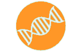 In situ hybridization probes - Molecular cytogenetics