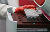 Mycoplasma Detection Kits - Ready-to-use PCR Mix