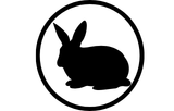Anti-rabbit