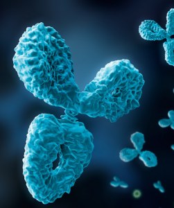 PD-1 Antibody (clone DBM15.1)