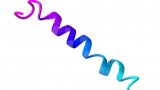 Fluorescent peptide