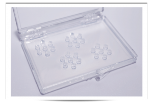 Immunodiffusion (ID) Assay for mycology