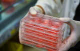 3D Cell Culture Kits