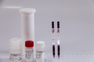 Lateral flow assay (LFA) for mycology