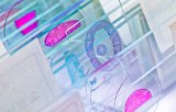 Mounting media for histology