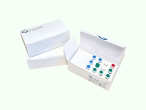HumInflammation – ThemaPanel