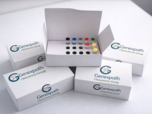 LymphoSign CE-IVD: Workflow and Specifications for NHL Diagnostics