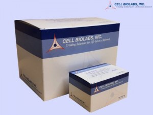 Cell Biolabs: Comprehensive Cell-Based Research Solutions