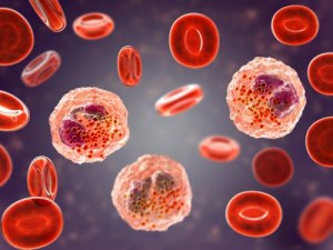 Human Biospecimens for Immunology Research 