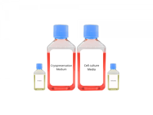 R&D and GMP-Grade Products for Your Cell & Gene Therapy