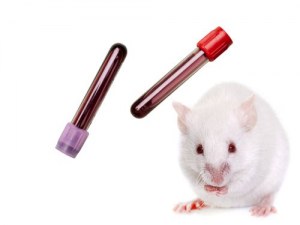 Animal-Derived Samples for Veterinary Research