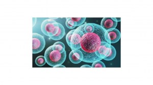 Bone marrow CD34+ stem cells
