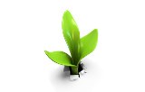 Plant biology