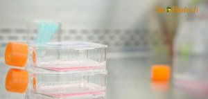 20% OFF Insect Cell Culture Media 