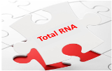 Extraction and purification of total RNA