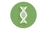 DNA polymerases for long fragment amplification (Long Range PCR)