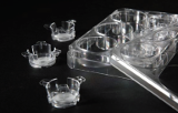 Insertos de poliestireno de 6 pocillos para cultivo 3D - Alvetex Scaffold
