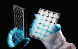 Andamios de poliestireno para cultivo 3D