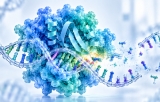 DNase