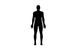 Humano
