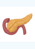 Human Tissue pieces and blocks - Pancreas