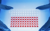 Placas de cultivo celular de 96 pocillos