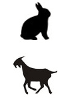 Kits de detección IHC - Doble tinción para tejidos de ratón anti-Goat and Rabbit IgG
