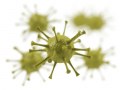 Adenovirus ORF humano de longitud completa prefabricado