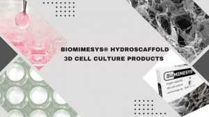 Revolucione su cultivo celular con Biomimesys Hydroscaffold 3D
