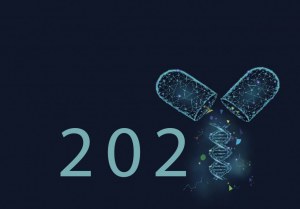 Calendar game 2021 - Discover the answers