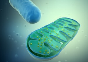 Immunometabolism